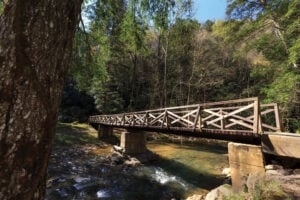 Where Community and Wilderness Meet