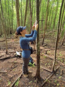 Collecting Birdsong