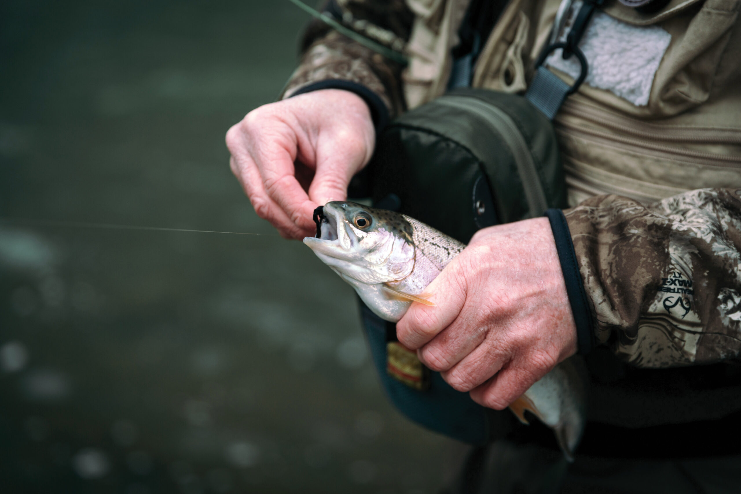 Cast a Line