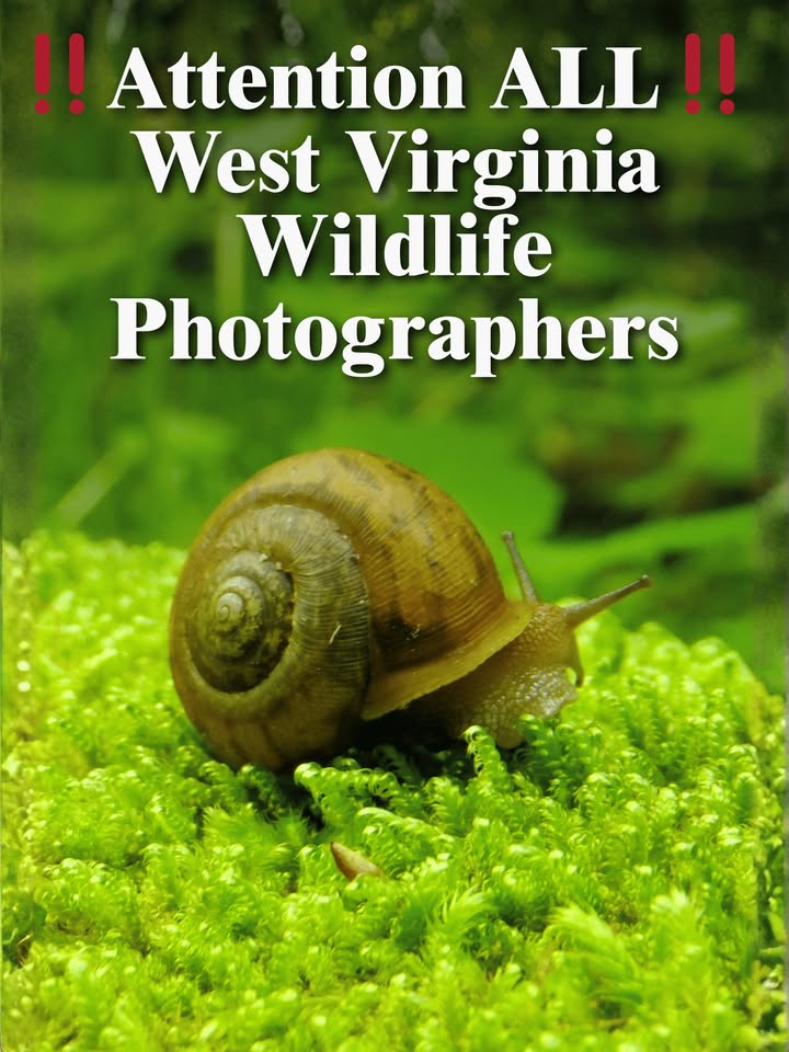Wonderful West Virginia Magazine