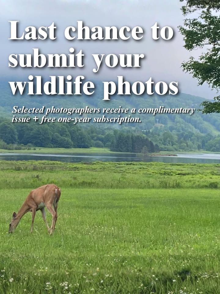 Wonderful West Virginia Magazine