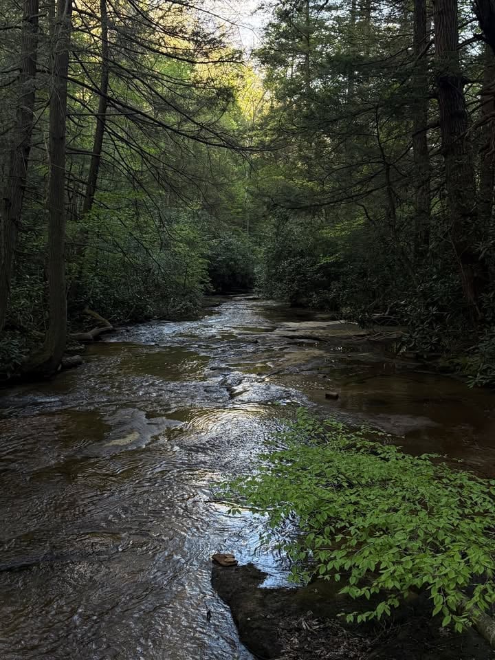 Wonderful West Virginia Magazine