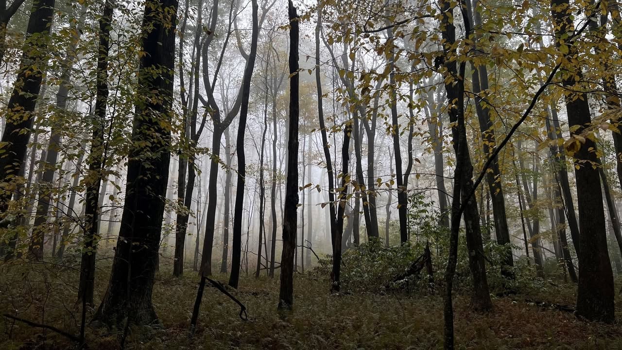 Wonderful West Virginia Magazine