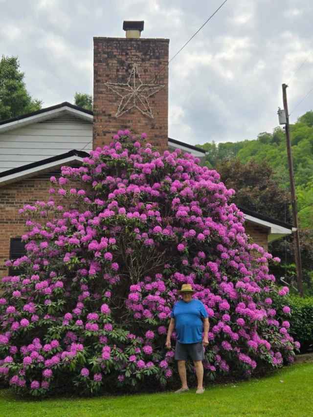 Rhodo Trippin'  Wonderful West Virginia Magazine